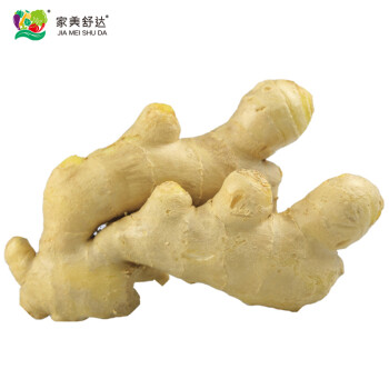 家美舒达广东生姜约500g老姜小黄姜新鲜蔬菜	